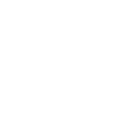 fast-delivery