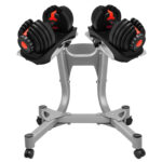 Pair of adjustable dumbbells with stand 5-52.5lbs